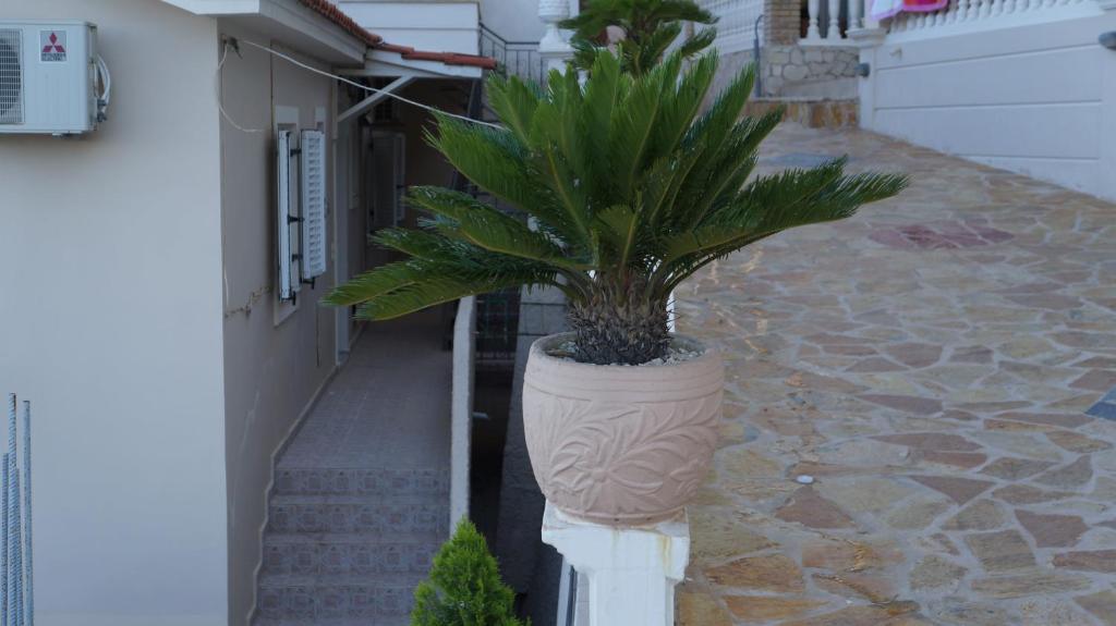 Corali Beach Aparthotel *